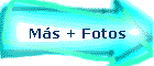 Ms + Fotos
